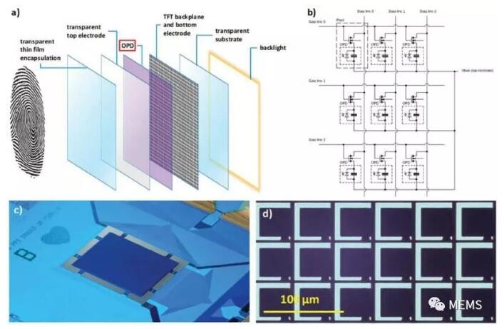 荷蘭科學(xué)家研發(fā)新型柔性高分辨率指紋識(shí)別傳感技術(shù) 荷蘭科學(xué)家研發(fā)新型柔性高分辨率指紋識(shí)別傳感技術(shù)