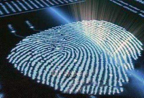 荷蘭科學(xué)家研發(fā)新型柔性高分辨率指紋識(shí)別傳感技術(shù) 荷蘭科學(xué)家研發(fā)新型柔性高分辨率指紋識(shí)別傳感技術(shù)